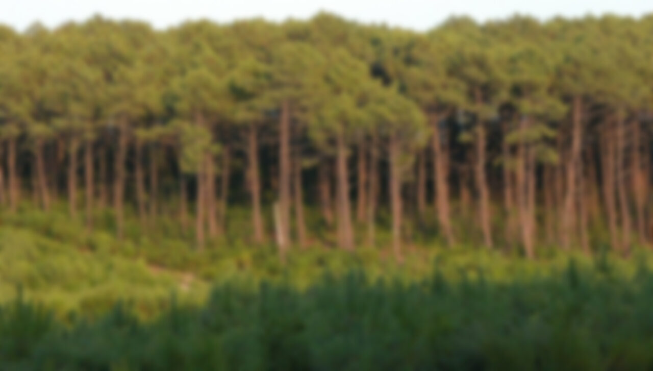Une Maison dans le Paysage